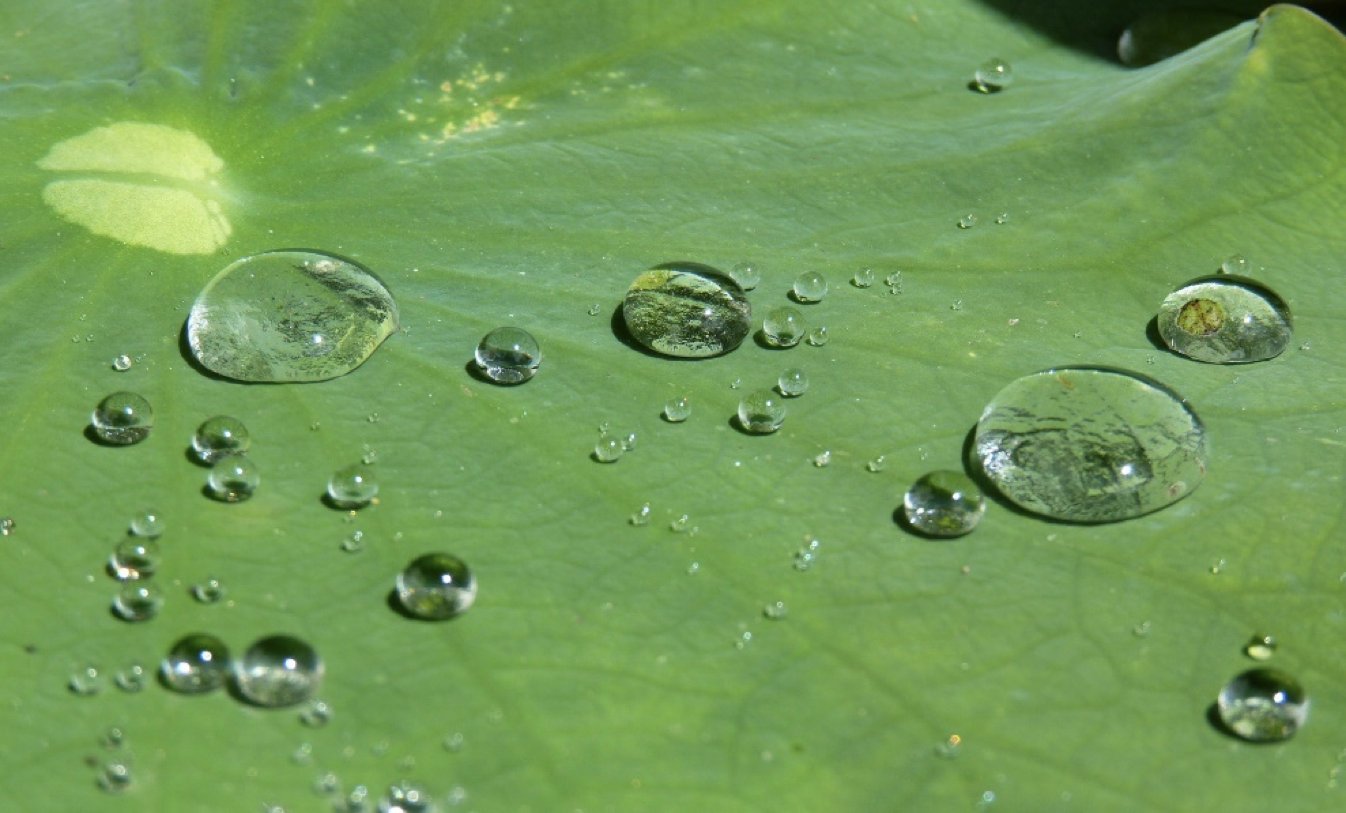 水性疏水劑在水性樹脂、涂料中能用嗎